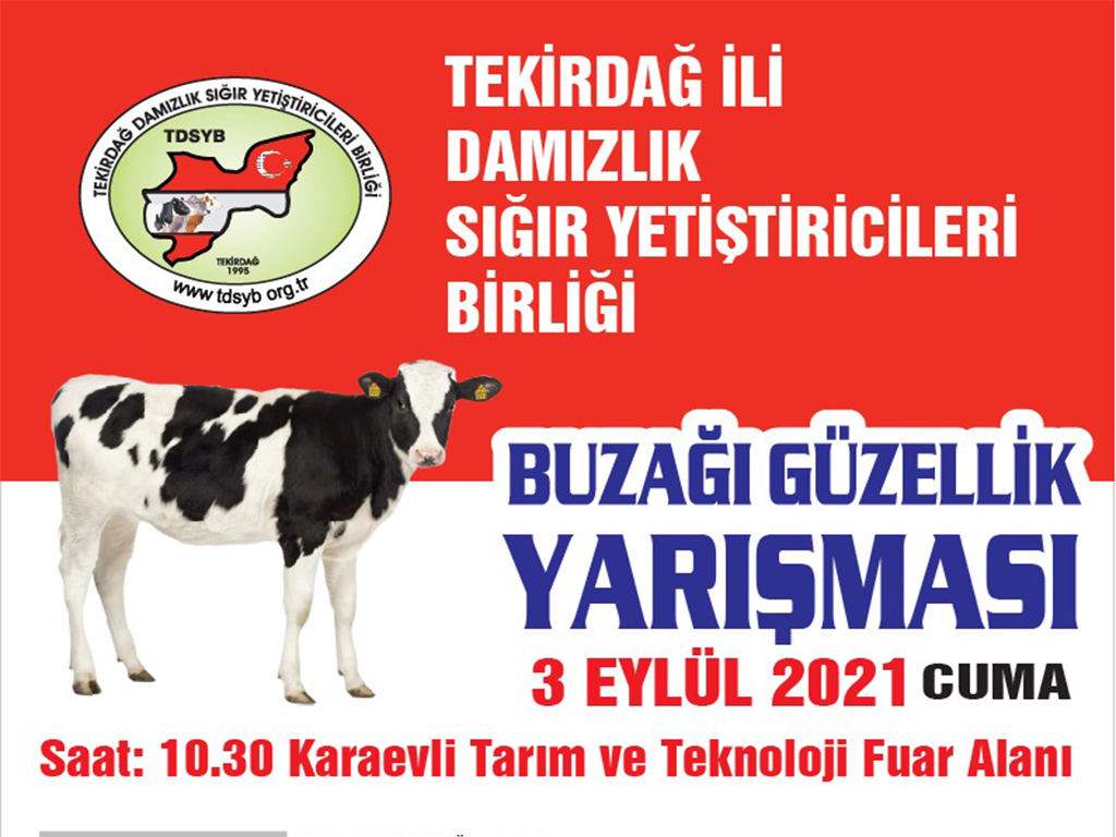 Buza Gzellik Yarmas Dzenliyor