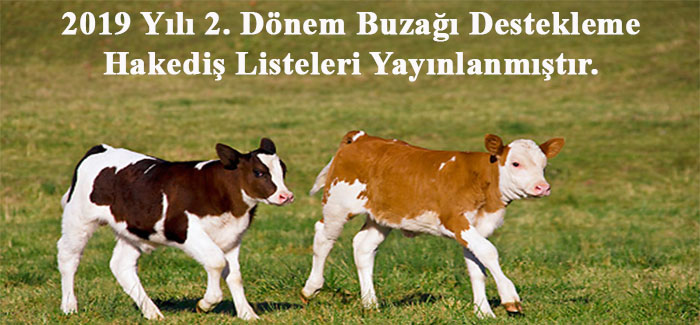 2019 Yl 2. Dnem Buza Destekleme Hakedi Listeleri Yaynlanmtr.