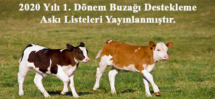 2020 Yl 1. Dnem Buza Destekleme Ask Listeleri Yaynlanmtr.