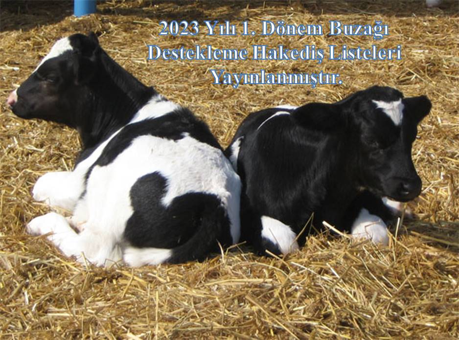2023 Yl 1. Dnem Buza Destekleme Listeleri yaynlanmtr